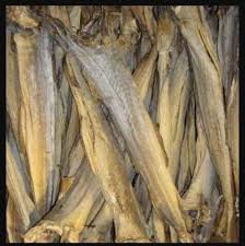 Stockfish (1)