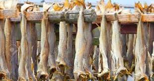 Stockfish (4)